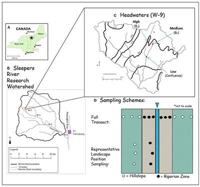 Soil Aggregates as a Source of Dissolved Organic Carbon to Streams: An Experimental Study on the Effect of Solution Chemistry on Water Extractable Carbon